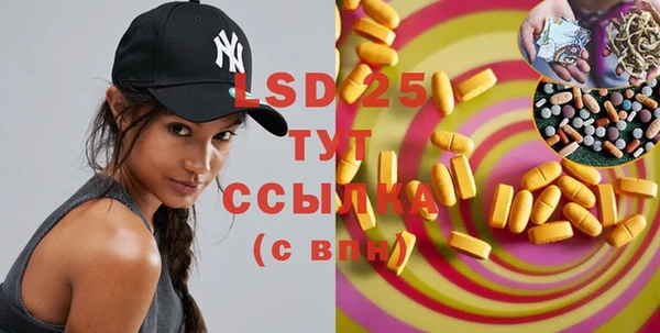 PSILOCYBIN Алзамай
