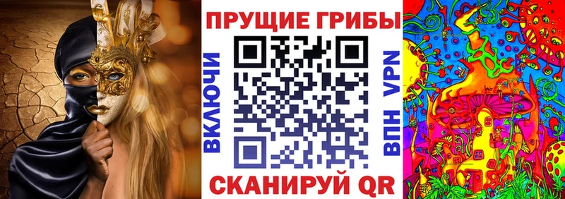 что такое наркотик Ишим Псилоцибиновые грибы Cubensis