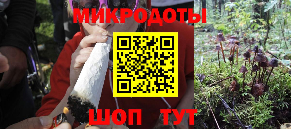 Псилоцибиновые грибы мухоморы  Вход с VPN  Псилоцибиновые грибы Magic Shrooms  Ишим 