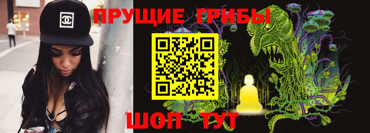 Псилоцибиновые грибы Psilocybine cubensis Ишим